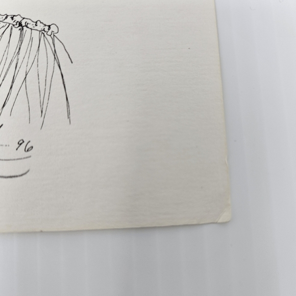 Harris Hawk Bird Art Prints Numbered & Artist Signed Wildlife Set Of 3 - Picture 12 of 16